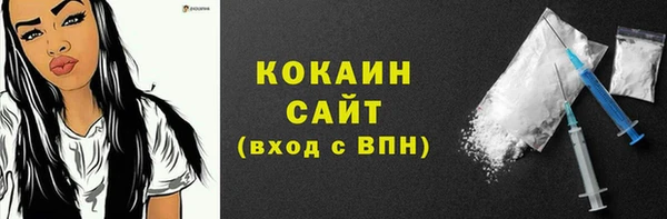 индика Балахна