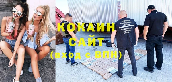 индика Балахна