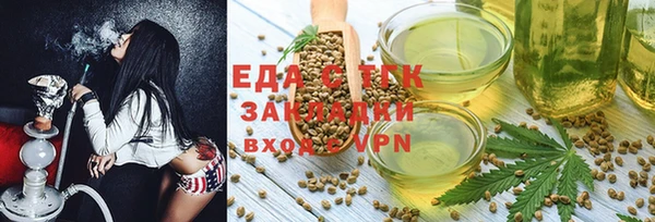 индика Балахна